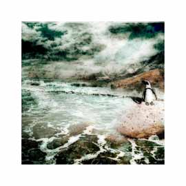 Sea Breeze - Limited Edition Print by Janet Botes