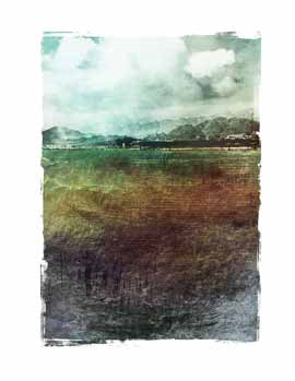 Nuances: Look Far Ahead - Fine Art Editions by Janet Botes