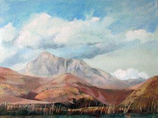 Summer Storm Over Compassberg - Painting by Joanne Reen
