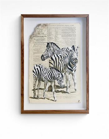 Striped Horse - Painting by Lisette Forsyth