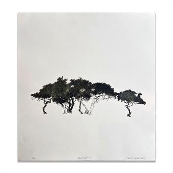 A drypoint etching artwork on paper of African trees