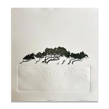 Fine art etching on paper of an acacia tree by Laurel Holmes