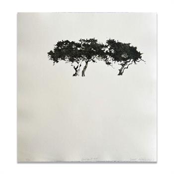A picture of a drypoint etching on paper of 3 trees