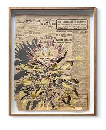 framed picture of a protea flower painted on Cape Times newspaper dated 1915