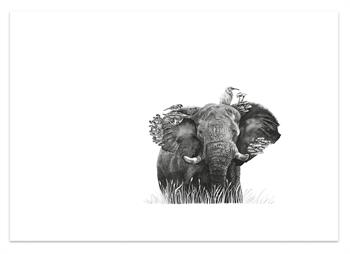 Fine art drawing on paper depicting an elephant entwined with mushrooms and birds