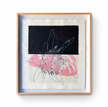 Beautiful framed linocut and chine colle print of a protea flower 