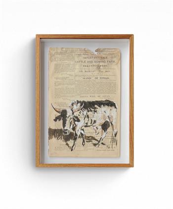 painting on historical Gazette of a prize cow by artist Lisette Forsyth