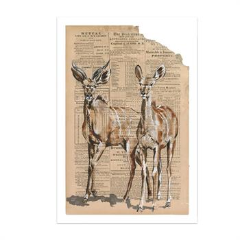 painting on newspaper of two African antelope
