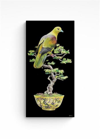 detailed painting of a wedge-tailed green pigeon perched in a bonsai tree