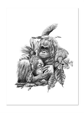 Hyperrealist pencil artwork depicting two Orangutans and birds