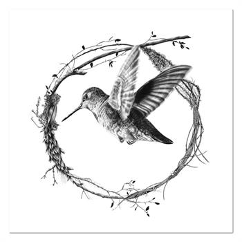 Hyperrealist artwork in graphite depicting a hummingbird suspended within a delicate wreath of fynbos twigs