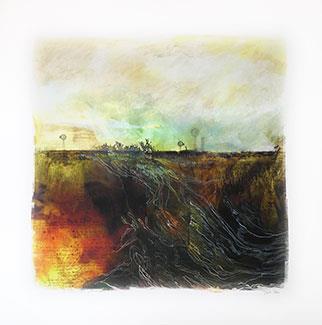 Transformed Landscape/Innerscape - Mixed Media by Janet Botes