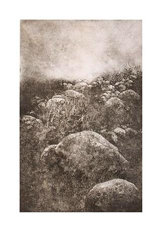 Terrene XVI - Monoprint by Laurel Holmes