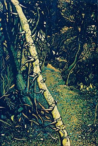 Simon's Path - Handmade Print by John Roome