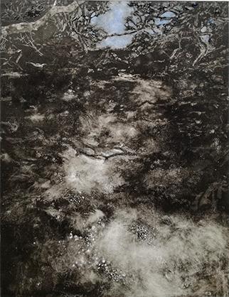 Fringe - Handmade Print by Laurel Holmes