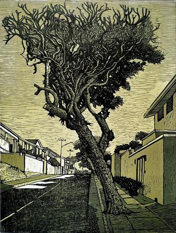 Urban Trees: Resilience  Ed.2/5 - Handmade Print by John Roome