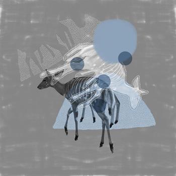 picture of a striped antelope on a blue background