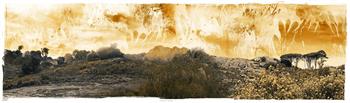 Remembering Nature - Digital Collage by Janet Botes