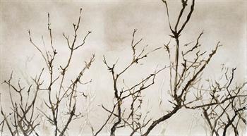 Windblown III - Handmade Print by Laurel Holmes