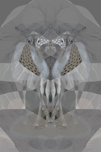 digital artwork inspired by Rorschach of two African buck