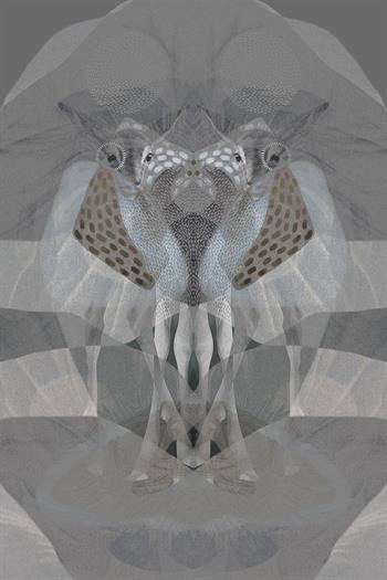 digital artwork inspired by Rorschach of two African buck