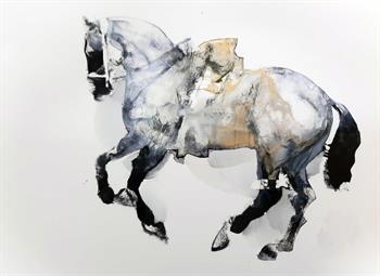 Dressage #2 - Ink On Yupo by Pascale Chandler