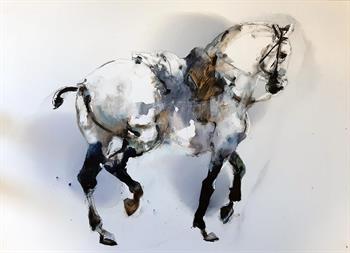 Dressage #1 - Ink On Yupo by Pascale Chandler