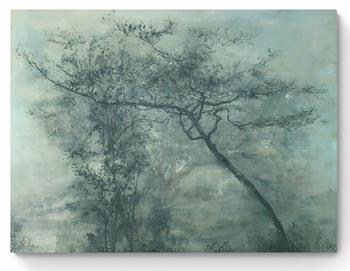 picture of tree branches through the mist