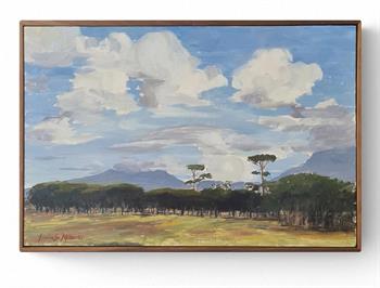 painting of a cloudy sky above Rondebosch Common in Cape Town.