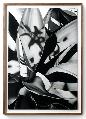 hyper-realistic botanical drawing in charcoal on paper