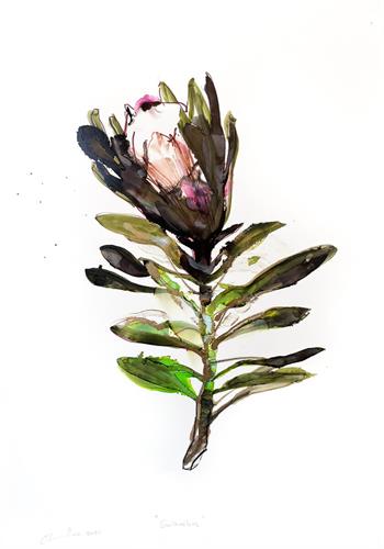 Suikerbos - Ink On Yupo by Pascale Chandler
