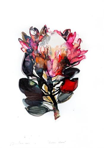 Protea Bloom - Ink On Yupo by Pascale Chandler