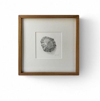 Drawings For Thinking #10 - Drawing by Karin Daymond