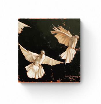picture of two white doves on a black background