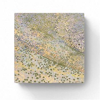 picture of the Karoo landscape in detail
