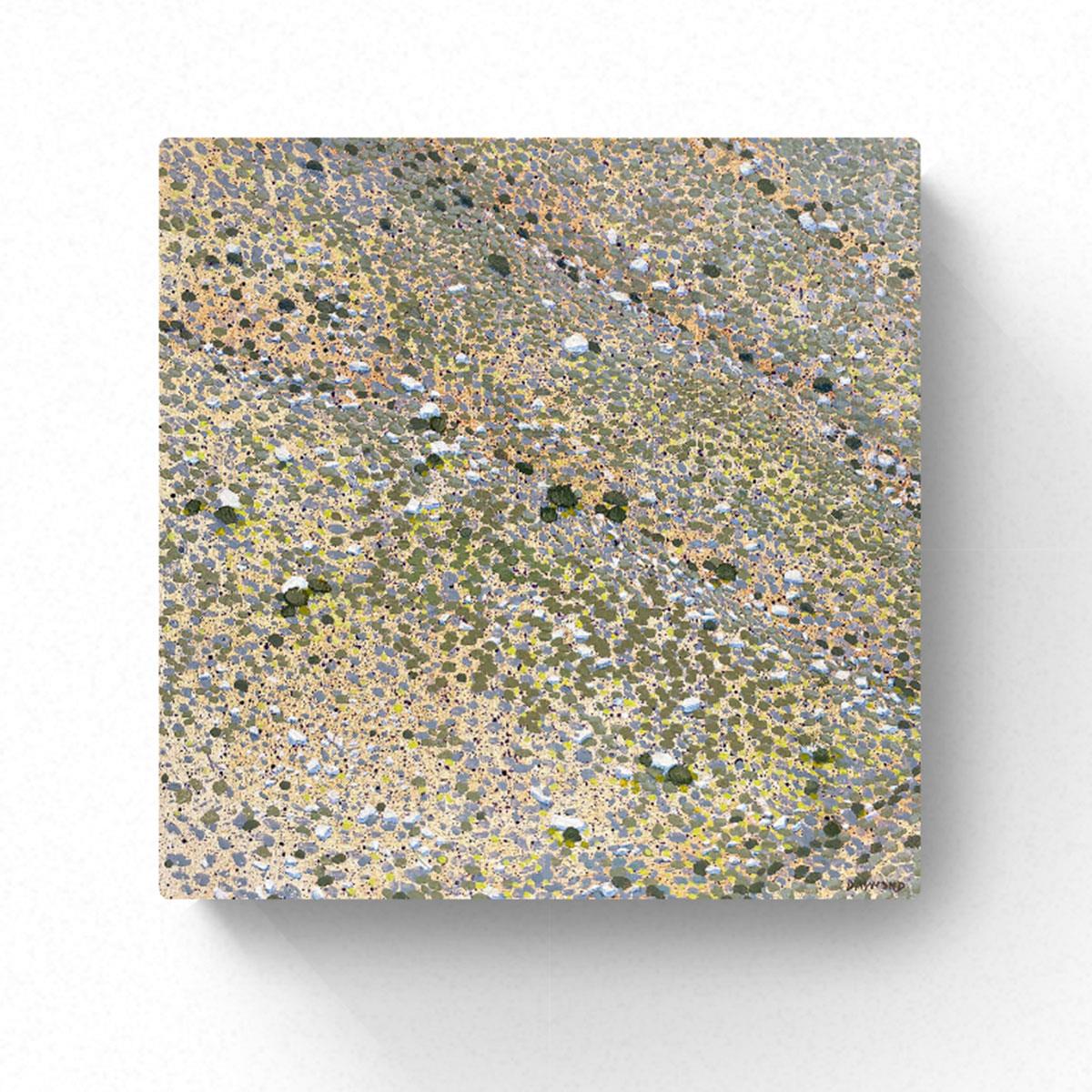 picture of the detail of the Karoo landscape from above