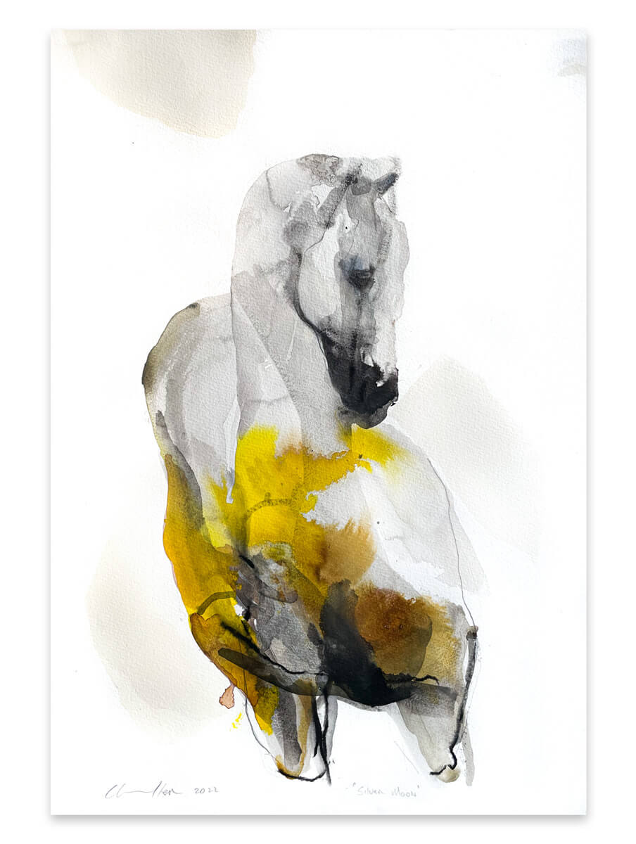 painting of a white horse in inks on paper by Pascale Chandler