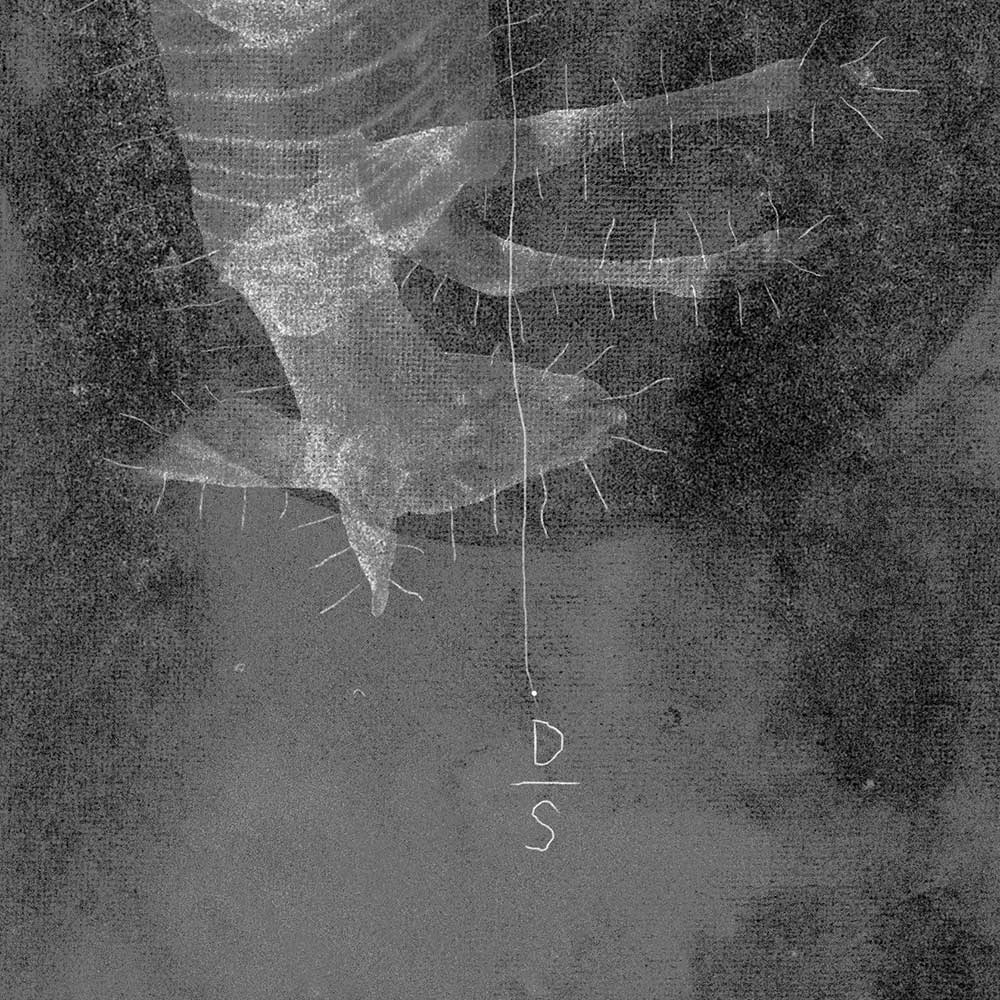 black & white digital artwork of an antelope with compass markings