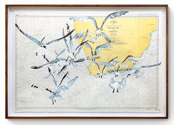 painting of seagulls on a map of Southern Africa
