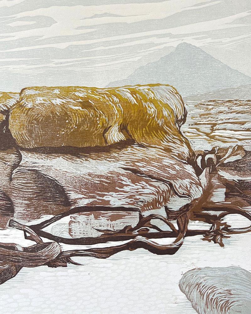 artwork on paper of seaweed and yellow rocks on the beach