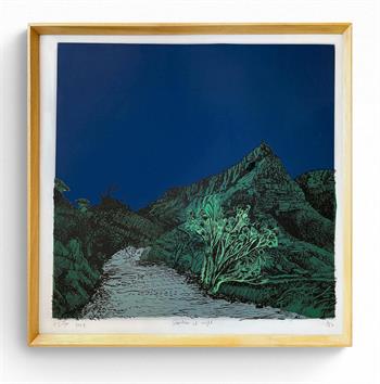 framed silkscreen print of a landscape with silvertree at night 
