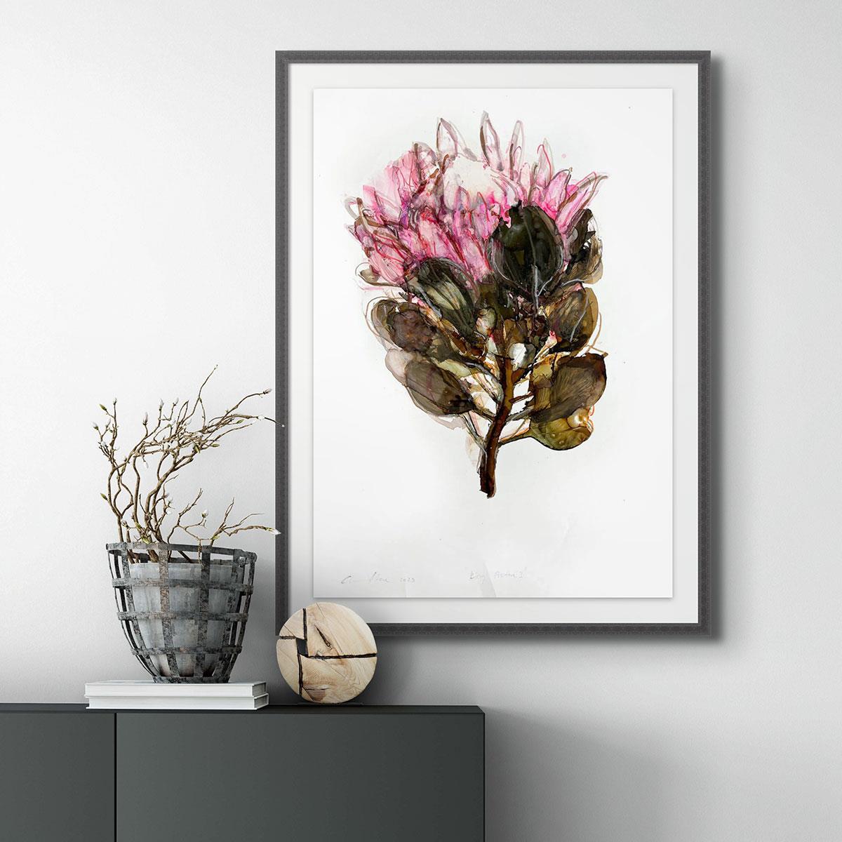 ink on paper painting of a King Protea by Pascale Chandler