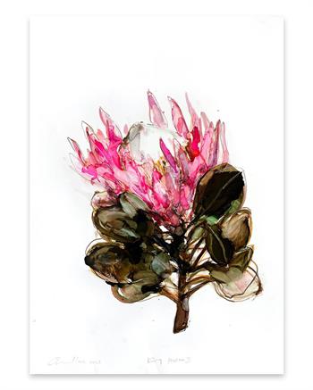 painting on paper of a pink King Protea flower