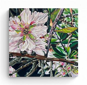oil painting of magnolia flowers and leaves by Claudia Gurwitz