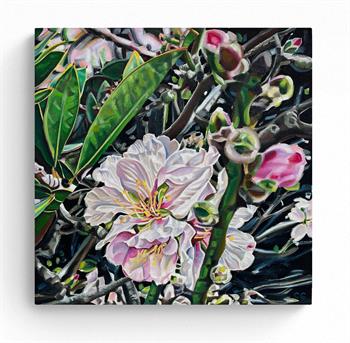 detailed oil painting of magnolia tree blossoms