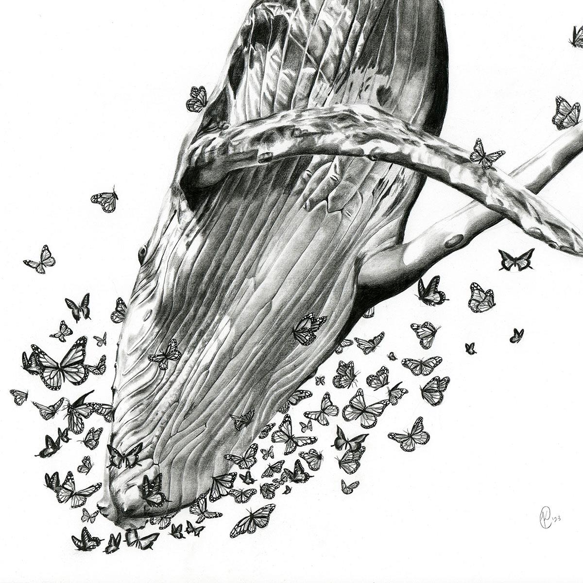 photorealist pencil drawing of a whale and butterflies