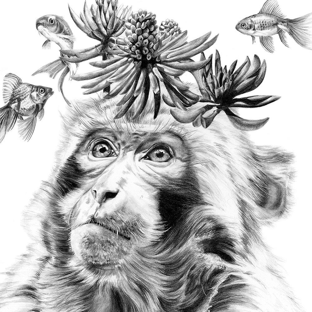 photorealist pencil artwork of a monkey with koi fish