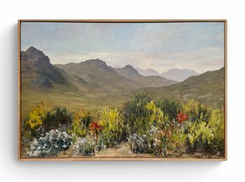 oil painting of the landscape in Silvermine nature reserve, Western Cape