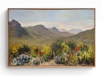 Silvermine Fynbos - Painting by Joanna Lee Miller