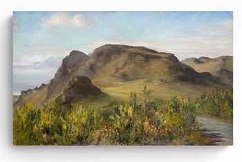 oil painting of Muizenberg mountains from Silvermine in the Cape